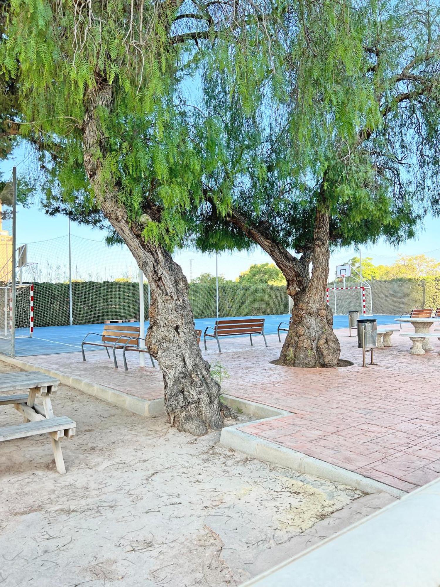 Coqueto Con Piscina, Nuevo A 50M Del Mar, Parking Gratis Apartamento El Campello Exterior foto