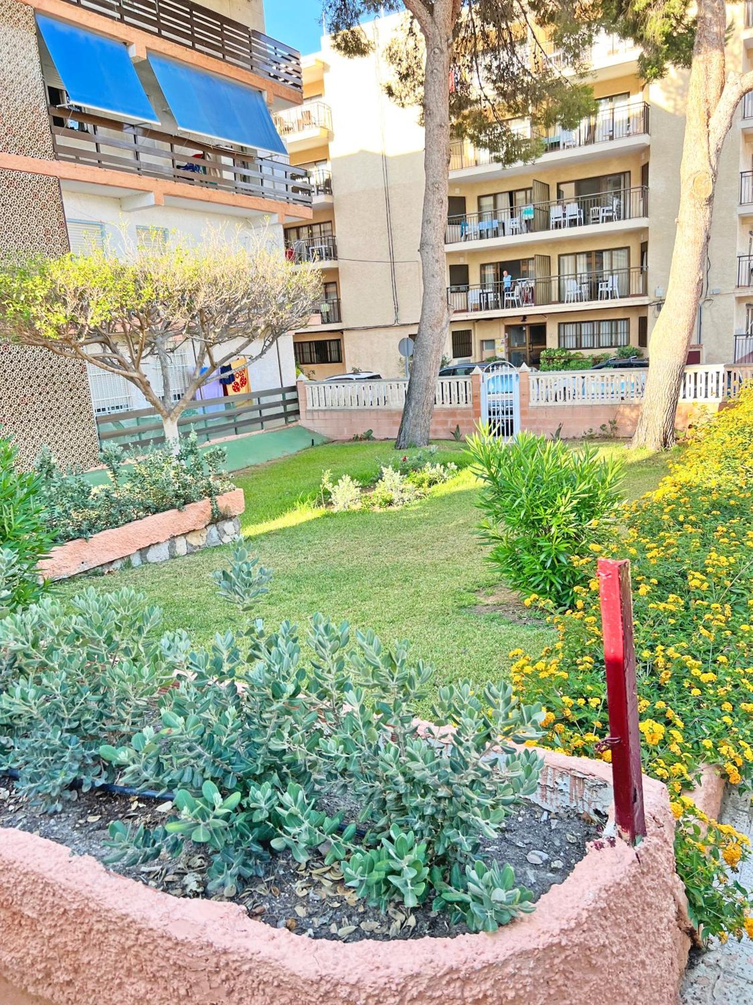 Coqueto Con Piscina, Nuevo A 50M Del Mar, Parking Gratis Apartamento El Campello Exterior foto
